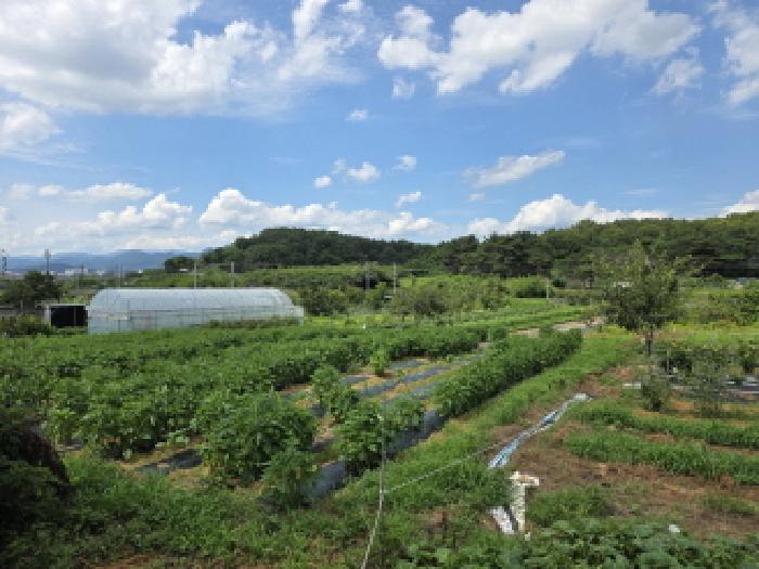 대구 수성구 매호동 묘지 경매 물건 사진 3 · 2025타경767