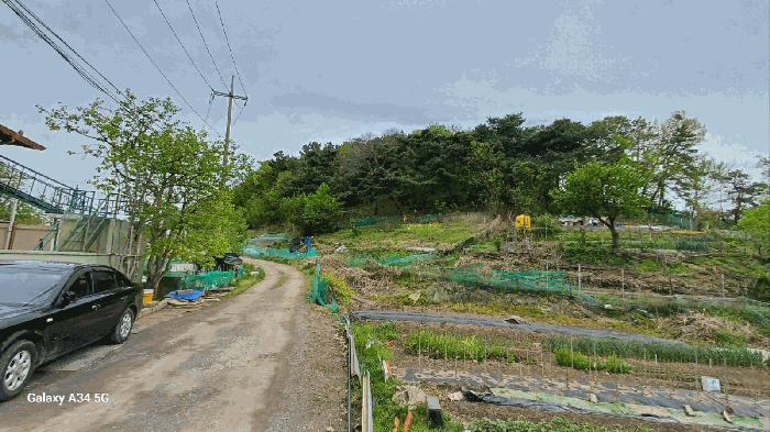 대구광역시 북구 복현동 산13 임야 경매 물건 사진