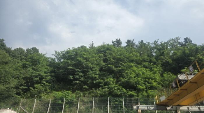경북 칠곡군 가산면 임야 경매 물건 사진 3 · 2025타경7907
