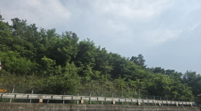 경북 칠곡군 가산면 임야 경매 물건 사진 4 · 2025타경7907