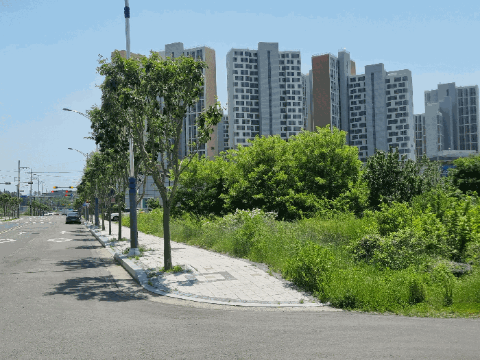 경북 영천시 완산동 과수원 경매 물건 사진 6 · 2025타경7979