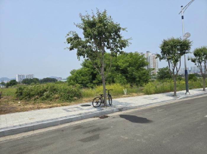 경북 영천시 완산동 과수원 경매 물건 사진