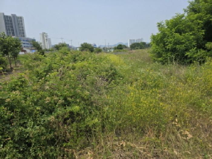 경북 영천시 완산동 과수원 경매 물건 사진 2 · 2025타경7979