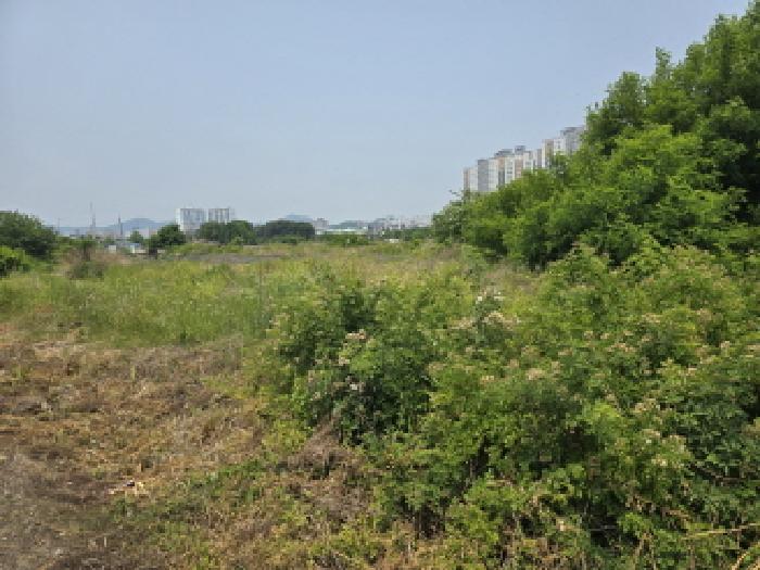 경북 영천시 완산동 과수원 경매 물건 사진 4 · 2025타경7979