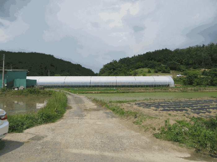 경북 영천시 화산면 답 경매 물건 사진 3 · 2025타경8026