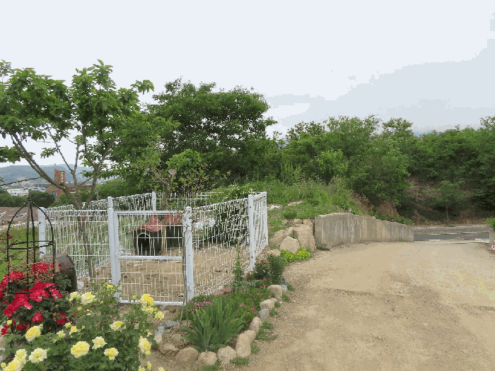 경북 영천시 신녕면 전 경매 물건 사진 6 · 2025타경8059