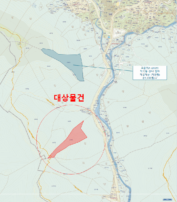 대구 동구 중대동 임야 경매 물건 사진 6 · 2025타경8101