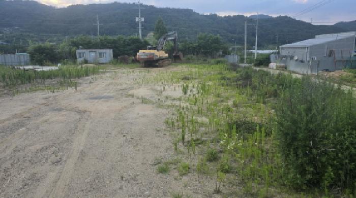 경북 칠곡군 기산면 전 경매 물건 사진 2 · 2025타경8129