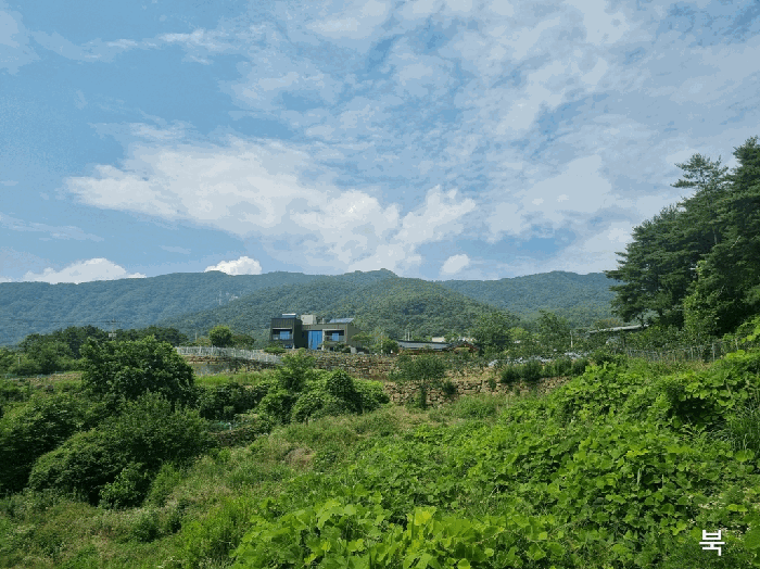 경북 칠곡군 동명면 전 경매 물건 사진 6 · 2025타경8215