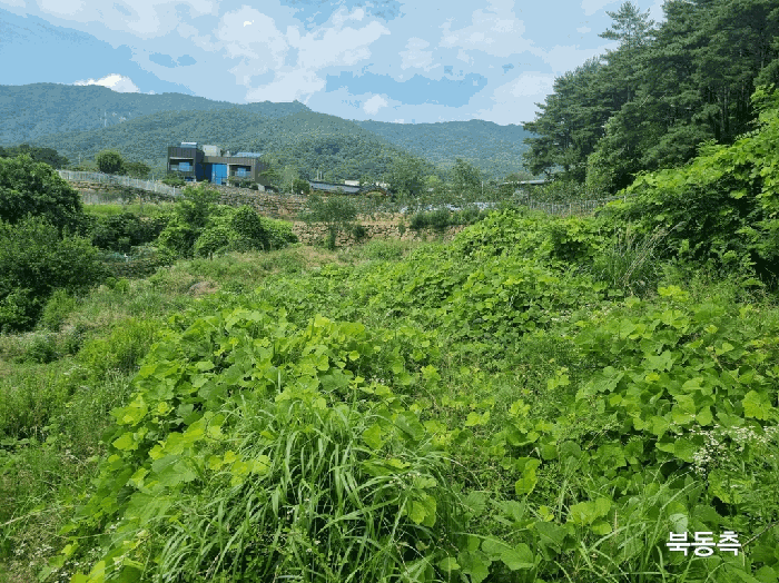경북 칠곡군 동명면 전 경매 물건 사진 3 · 2025타경8215