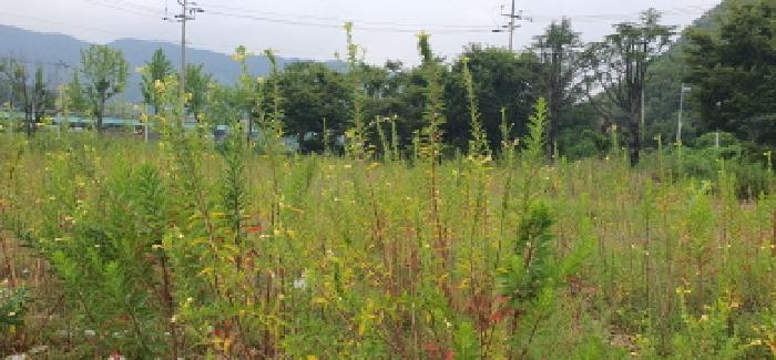 경북 경산시 남천면 과수원 경매 물건 사진 4 · 2025타경8237