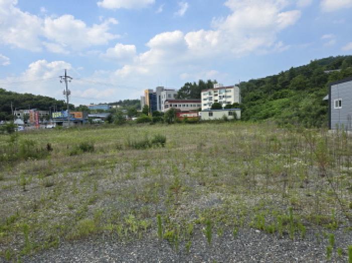 경북 영천시 대창면 답 경매 물건 사진 3 · 2025타경832