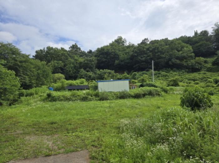 경북 영천시 고경면 전 경매 물건 사진