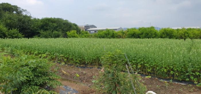 경북 경산시 압량읍 전 경매 물건 사진