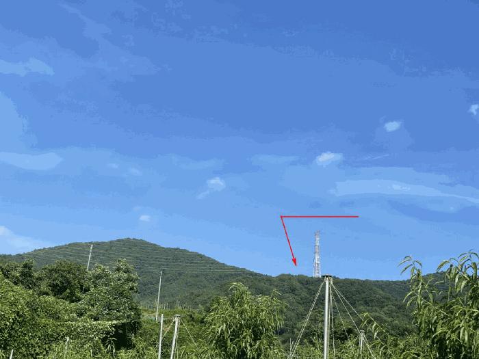 경북 청도군 각북면 임야 경매 물건 사진 4 · 2025타경8369