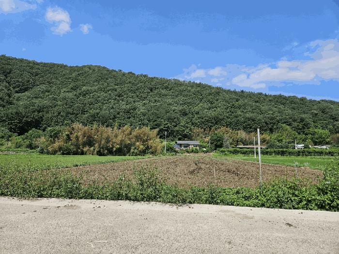 경북 경산시 와촌면 답 경매 물건 사진
