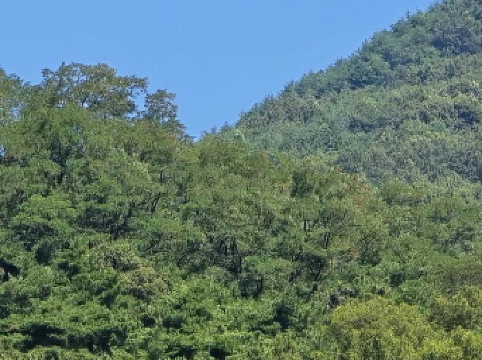 경북 경산시 하양읍 임야 경매 물건 사진 3 · 2025타경8486