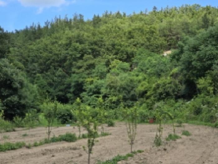경북 영천시 임고면 전 경매 물건 사진 4 · 2025타경851