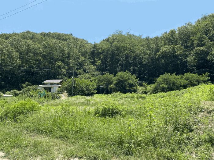 경북 영천시 북안면 답 경매 물건 사진 3 · 2025타경8510