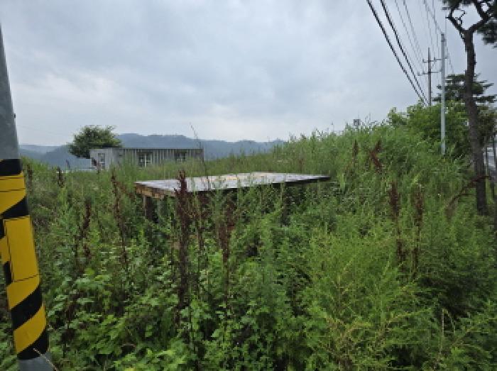 경북 영천시 고경면 대지,임야,전답 경매 물건 사진