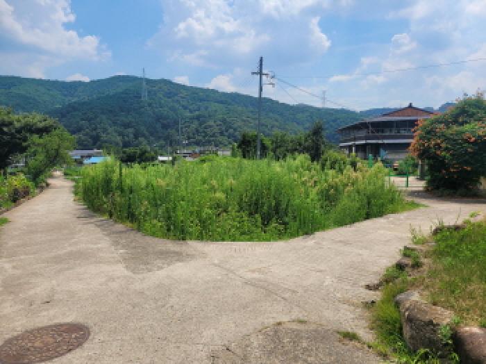대구 동구 백안동 답 경매 물건 사진
