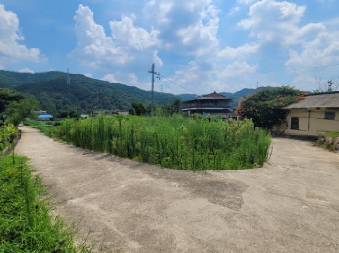 대구 동구 백안동 답 경매 물건 사진 2 · 2025타경8542