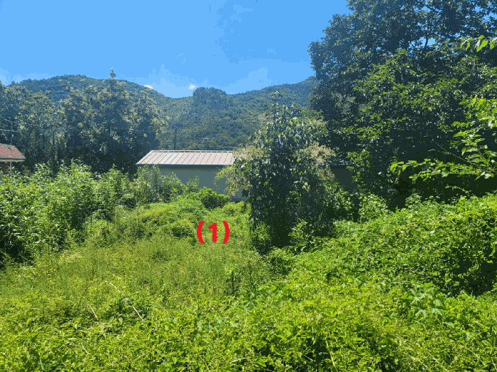 경북 칠곡군 지천면 대지 경매 물건 사진 6 · 2025타경8559