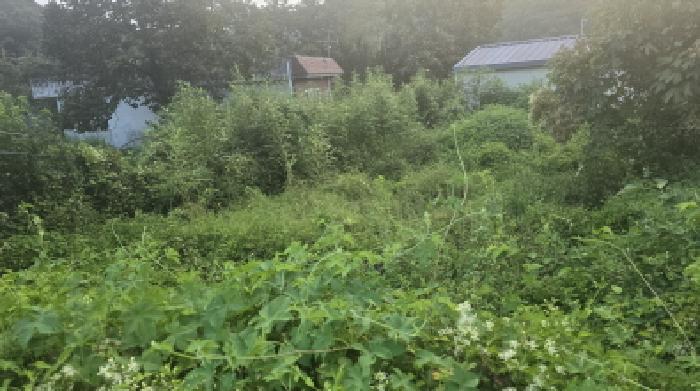 경북 칠곡군 지천면 대지 경매 물건 사진 2 · 2025타경8559