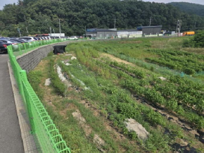 경북 영천시 금호읍 답 경매 물건 사진