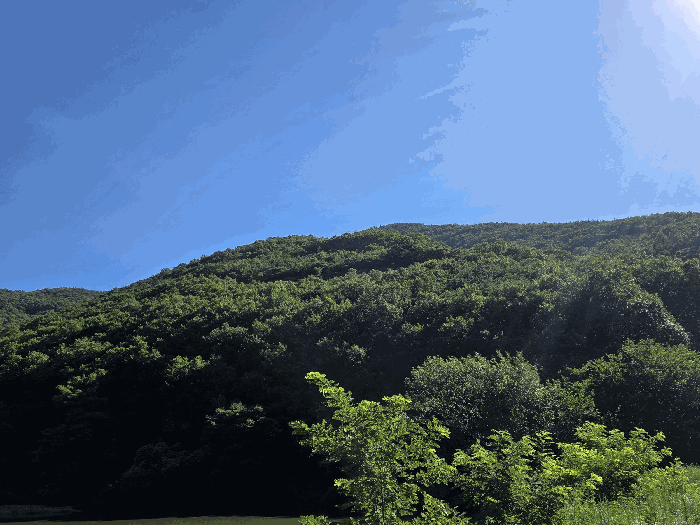 경북 영천시 화북면 임야 경매 물건 사진 5 · 2025타경8639