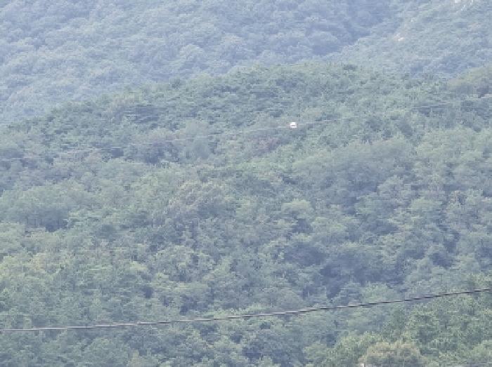 경북 영천시 화북면 임야 경매 물건 사진