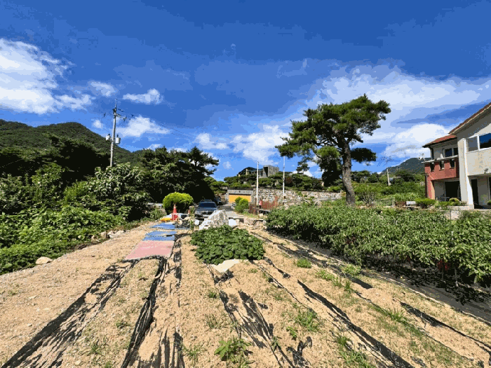 경북 칠곡군 가산면 도로 경매 물건 사진 6 · 2025타경8693