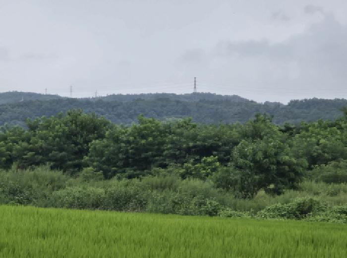 경북 영천시 임고면 답 경매 물건 사진 5 · 2025타경8707