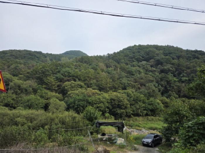 경북 청도군 운문면 전 경매 물건 사진 4 · 2025타경8720