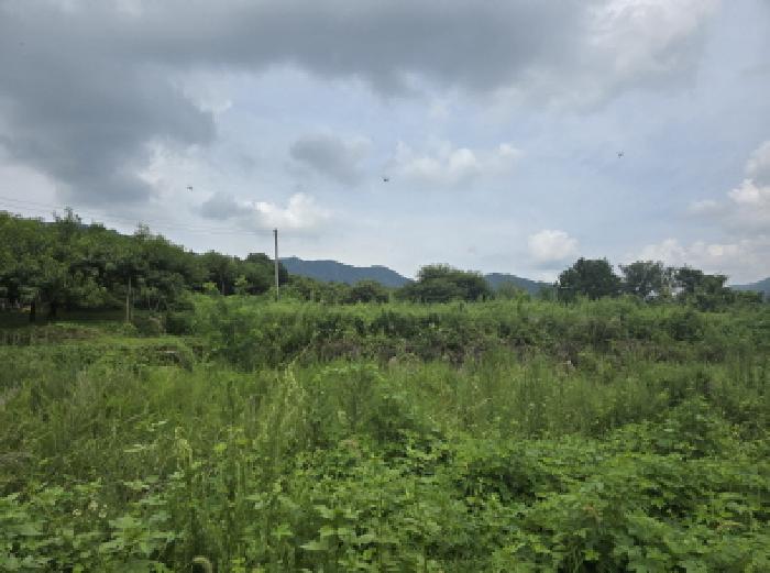 경북 경산시 와촌면 대지 경매 물건 사진