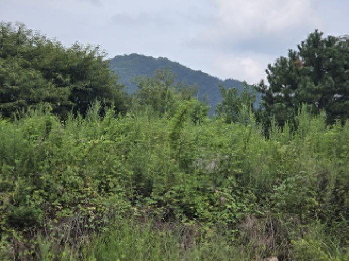 경북 경산시 와촌면 대지 경매 물건 사진 4 · 2025타경8726