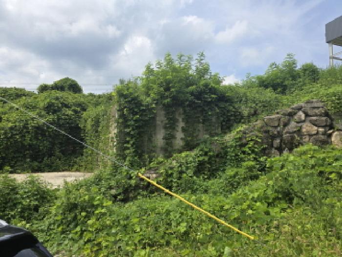 경북 경산시 와촌면 과수원 경매 물건 사진