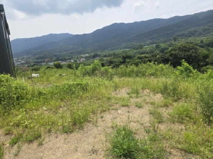 경북 경산시 와촌면 과수원 경매 물건 사진 4 · 2025타경8741