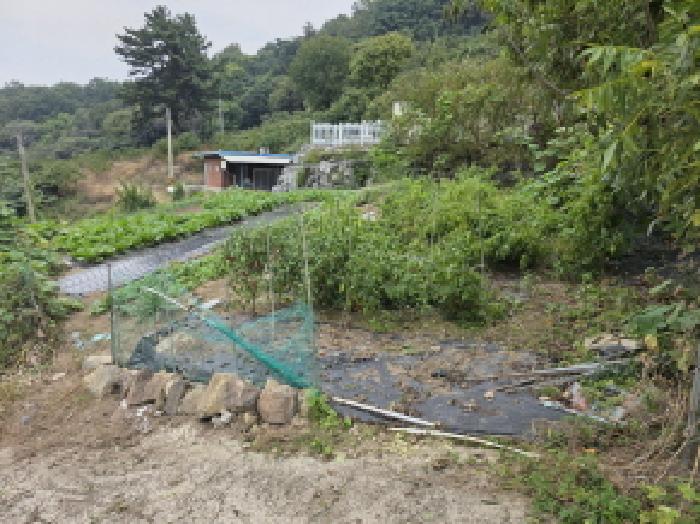 경북 청도군 운문면 대지 경매 물건 사진 4 · 2025타경8748