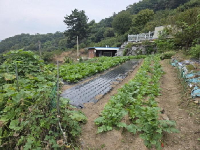 경북 청도군 운문면 대지 경매 물건 사진 5 · 2025타경8748