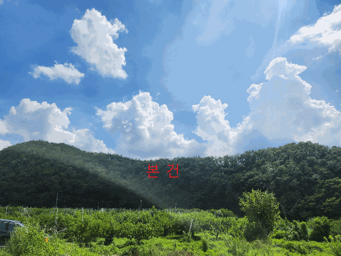 경상북도 영천시 임고면 사리 산20 임야 경매 물건 사진