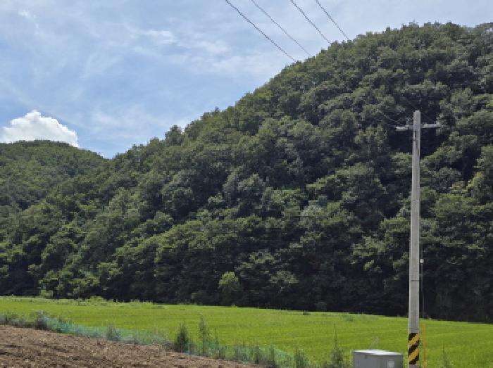 경북 영천시 임고면 임야 경매 물건 사진
