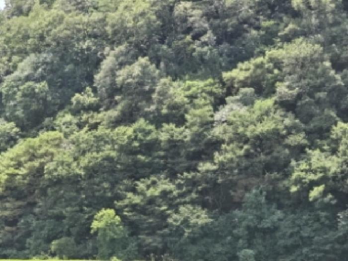 경북 영천시 임고면 임야 경매 물건 사진 3 · 2025타경8800