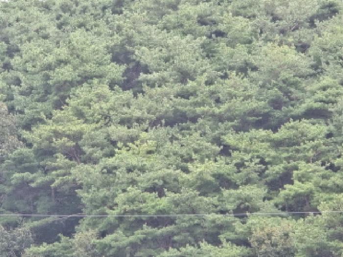 경북 칠곡군 동명면 답 경매 물건 사진 6 · 2025타경8815