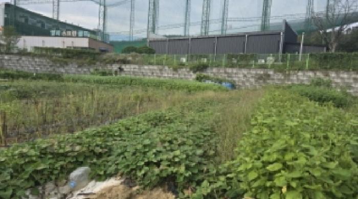 대구 북구 관음동 답 경매 물건 사진 2 · 2025타경8845