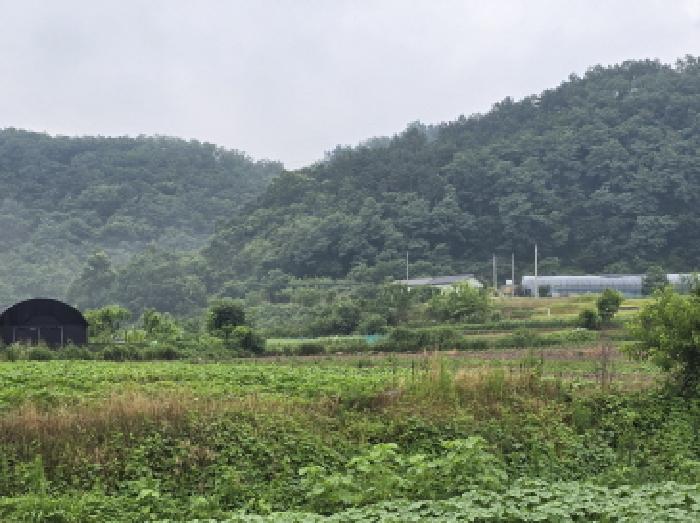 경북 영천시 고경면 전 경매 물건 사진 2 · 2025타경890