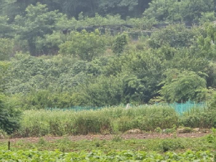 경북 영천시 고경면 전 경매 물건 사진 4 · 2025타경890