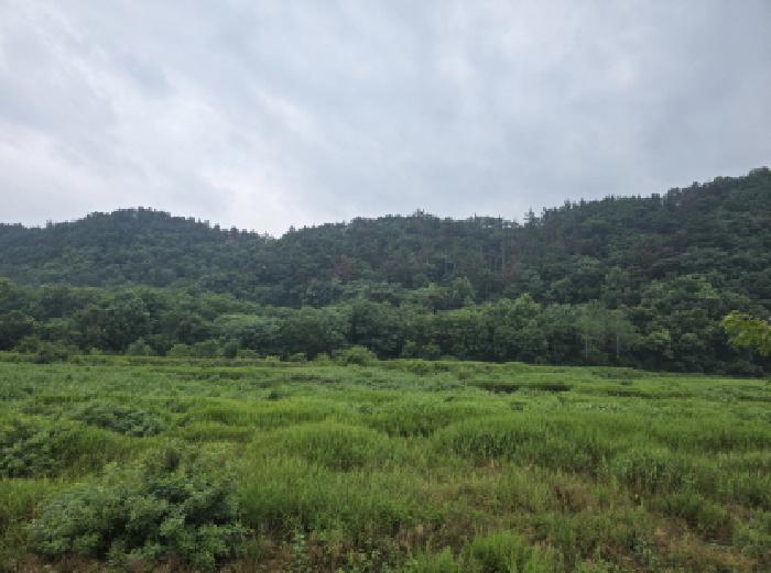 경북 영천시 고경면 전 경매 물건 사진 6 · 2025타경890