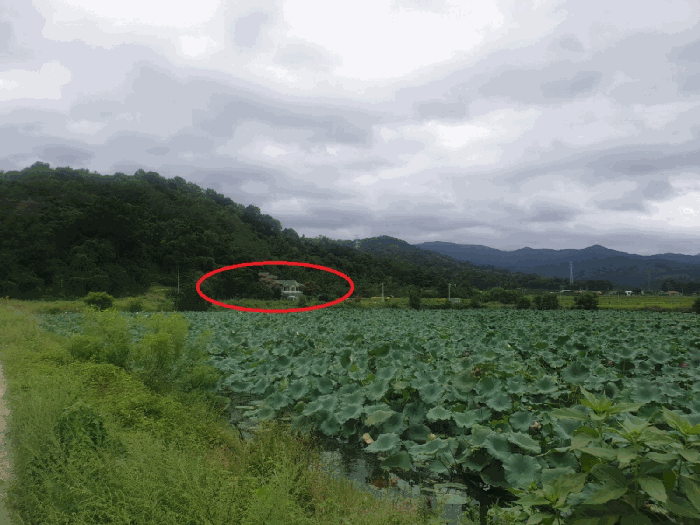 경상북도 청도군 이서면 신촌리 1114 단독주택다가구 경매 물건 사진