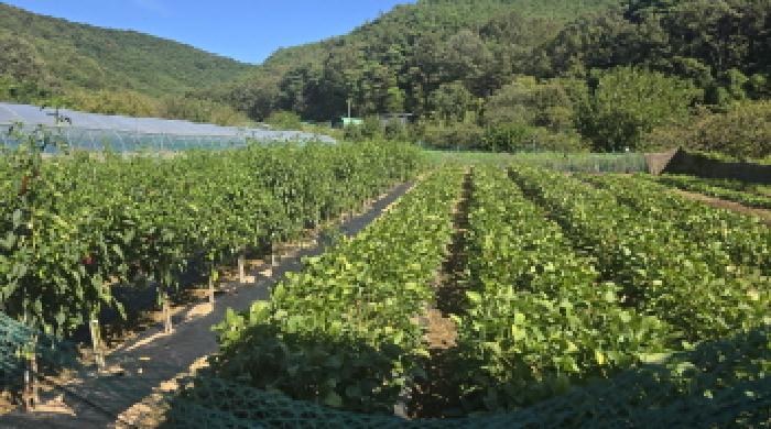 대구 북구 도남동 답 경매 물건 사진 5 · 2025타경8952
